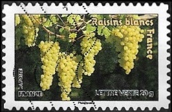 Raisins blancs France