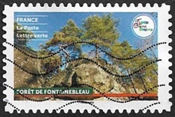 Forêt de Fontainebleau