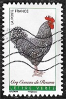 Coq Coucou de Rennes