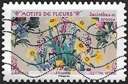 Jacinthes et crocus