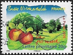 Basse-Normandie - La pomme