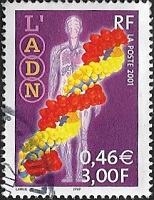 L'ADN