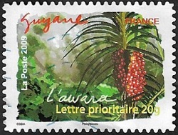 Guyane - L'awara