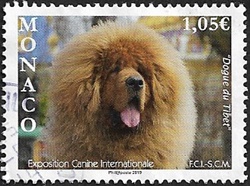 Exposition canine internationale