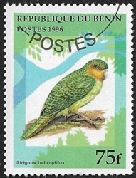 Kakapo