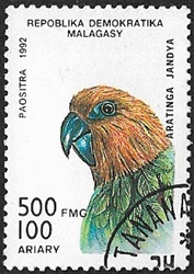 Conure jandaya Conure jandaya