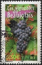 Le vignoble du Beaujolais