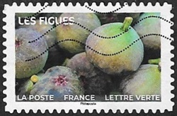 Les figues