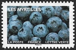 Les myrtilles