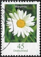 Marguerite