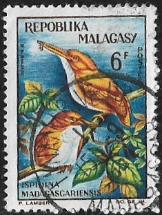 Martin-pêcheur malgache