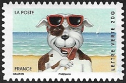 Chien à  la plage