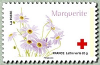 Marguerite