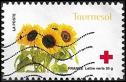 Tournesol