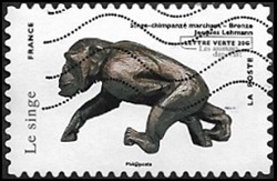 Singe-chimpanzé marchant, bronze